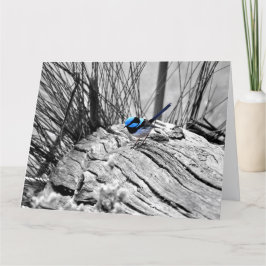 Grande cartão feericamente magnífico da carriça