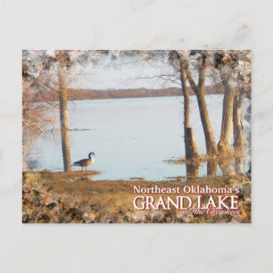 Grande cartão postal de Lago Oklahoma garça