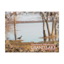 Grande cartão postal de Lago Oklahoma garça