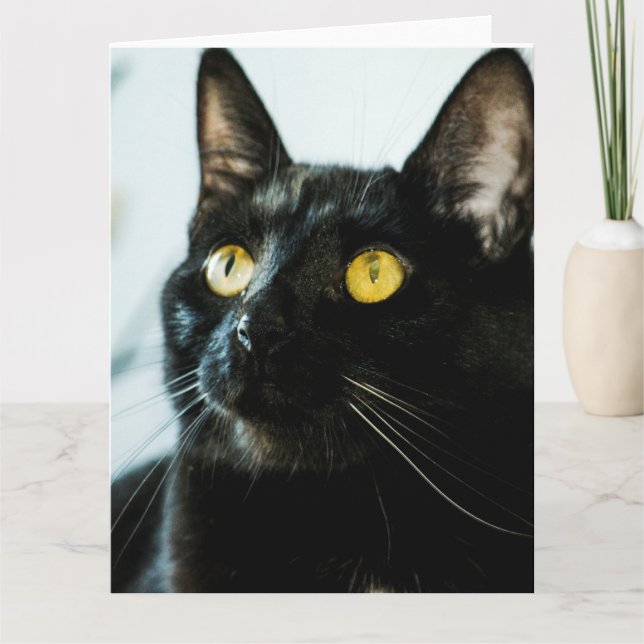 grande cartão vazio bonito do gato preto (Frente)