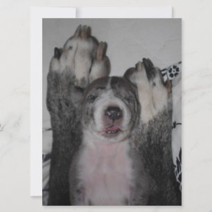 Grande Convite de Aniversário de Dane