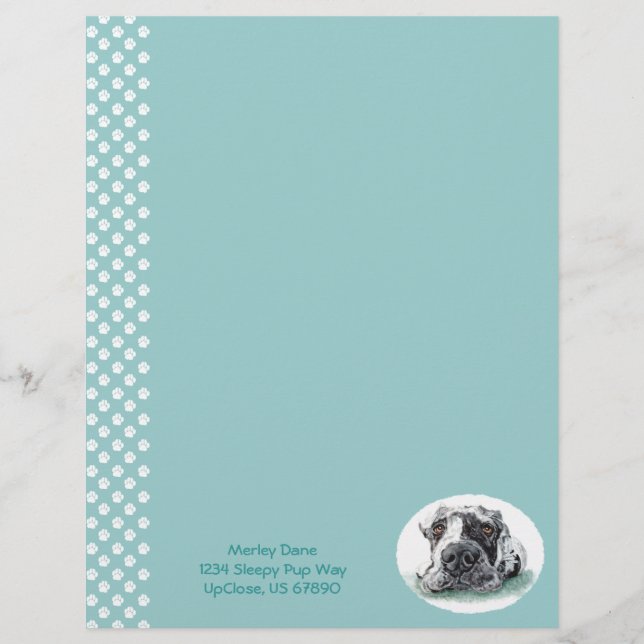 Grande Dane Amarrou Mira (Frente)