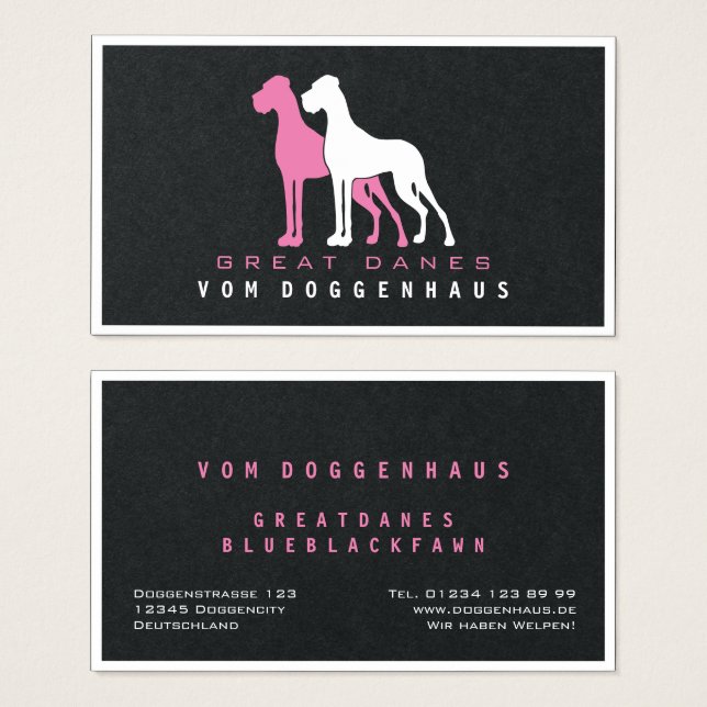 Grande Dane puro (Frente & Verso)