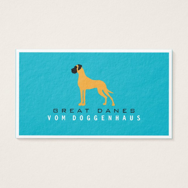 Grande Dane puro (Frente)