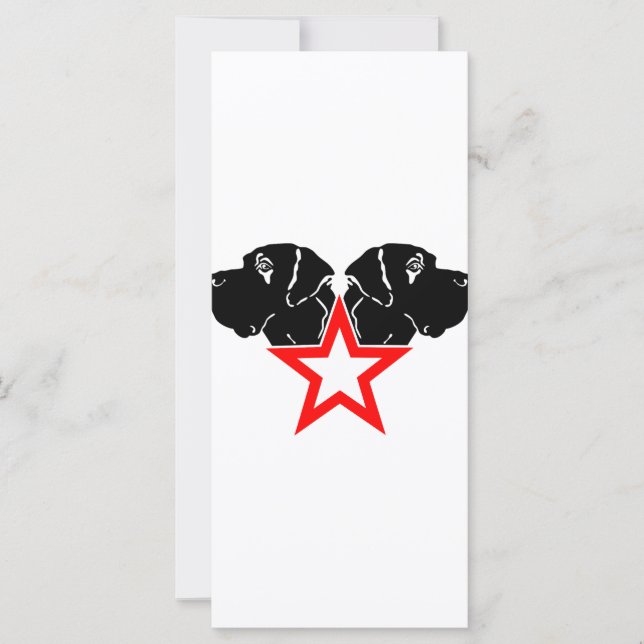 Grande Dane Star Head (Frente)