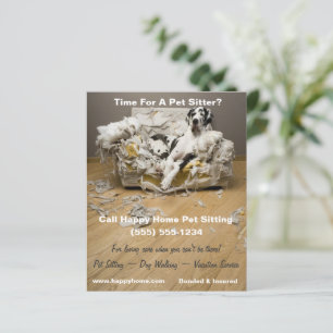 Grande dinamarquês no tabuleiro de fixação de sofá