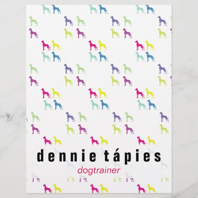 Grande Folheto de Dane (Frente)