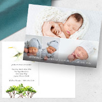 Grande Garça Branca 4 Foto Anúncios de Nascimento