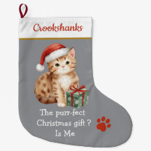 Gato Fofo com Meia de Natal de Chapéu de Papai Noe