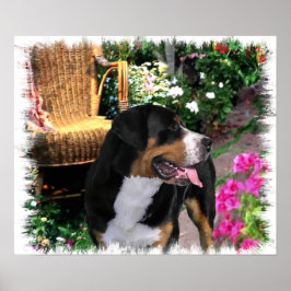 Grande Impressão de Arte de Cachorro Suíço