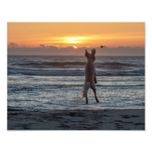 "Grande" impressão vivo da foto do por do sol da