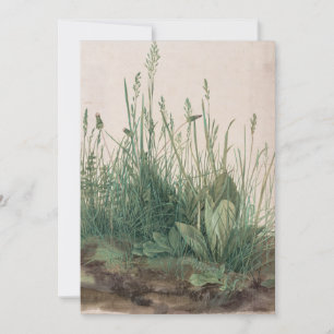 Grande pedaço de turfa por Albrecht Durer