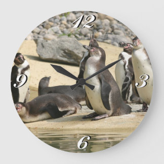 Grande Pinguins-de-humboldt, Relógio