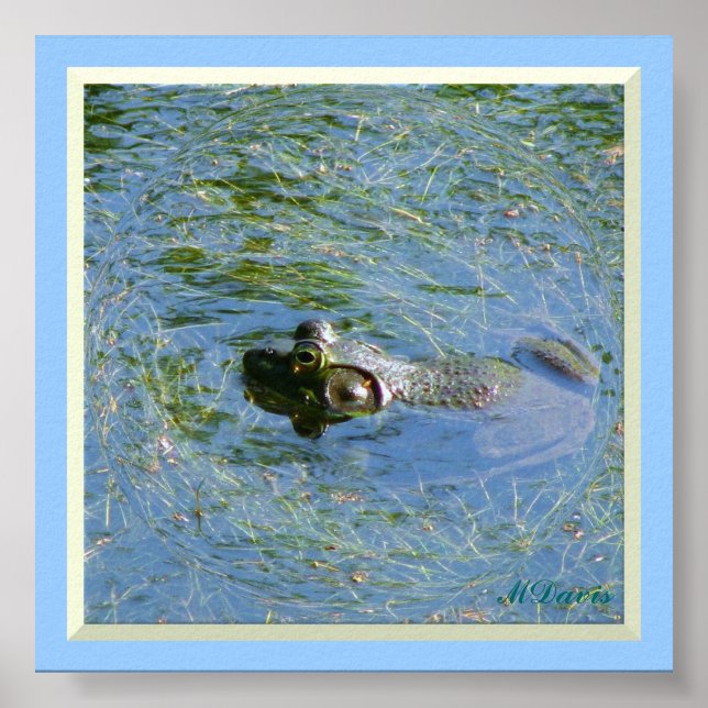 Grande Poster Sapo (Frente)