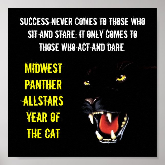 Grande Poster - Sucesso (Frente)