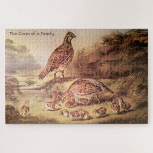Grande Quebra-cabeça da família Quail (1000 peças)
