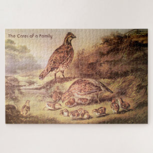 Grande Quebra-cabeça da família Quail (500 peças)
