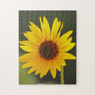 Grande Quebra-cabeça de Flor Sunflower
