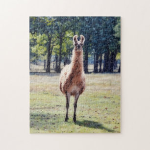 Grande Quebra-Cabeça do Animal Llama Difuso