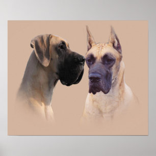 Grande Rei Danão de Cães Impressão