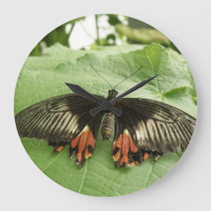 Grande Relógio bonito de Parede Vermelho e Borboleta Dou