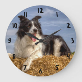 Grande Relógio com Border Collie Bonito em Fardo de Palha