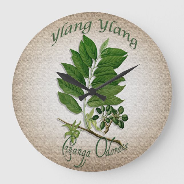Grande Relógio da terapia de aroma Ylang-Ylang (Frente)