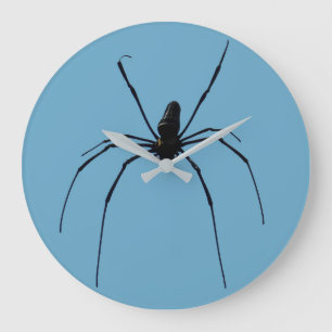Grande Relógio de Aranha