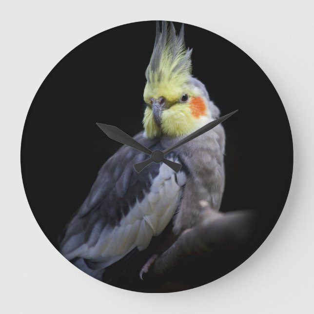 Grande Relógio de Cardealzinho (Frente)