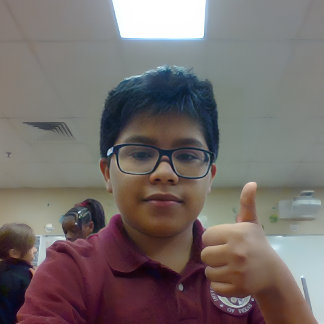 Grande Relógio de parede, quadro redondo de 10" com o ros