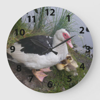 Grande Relógio De Pato Muscovita E De Patos
