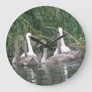Grande Relógio SWans e Cygnets