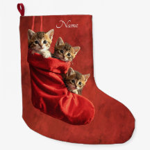 Três gatinhos numa meia de Natal