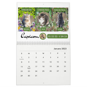 Grandes 3 Sinais como Gatos no Calendário do Jardi