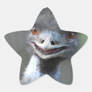 grandes adesivos Emu