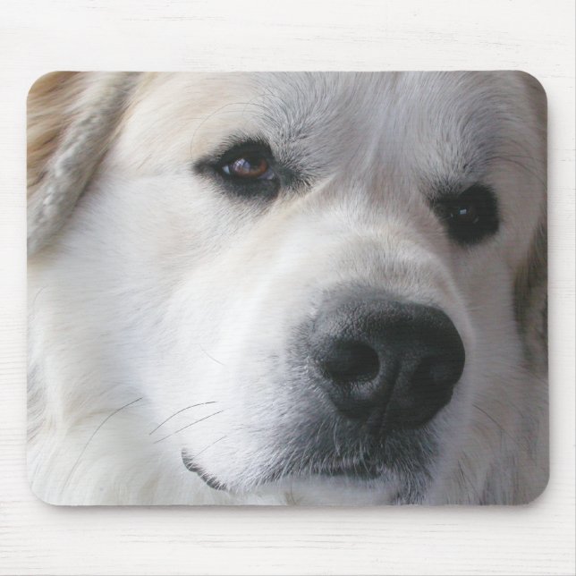 Grandes Pyrenees Mousepad (Frente)