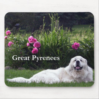 Grandes Pyrenees Mousepad