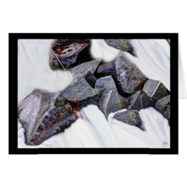 Granito num Cartão Snowfield