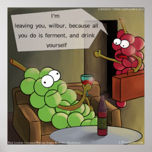 Grape Divorce Poster Funny