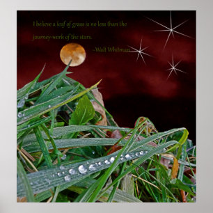"Grass", Poster de Arte com a citação de Walt Wh