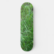 Grass Skateboard
