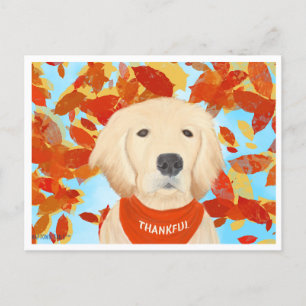 Gratidão - Caindo Na Minha Vida Cartão Postal