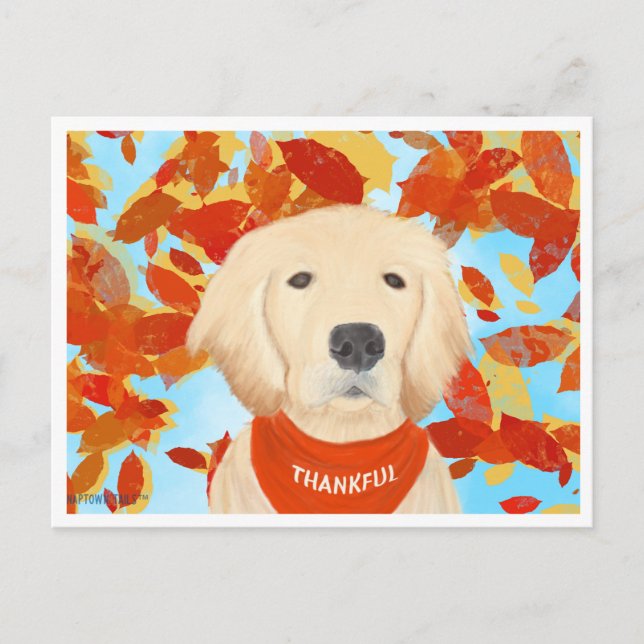 Gratidão - Caindo Na Minha Vida Cartão Postal (Frente)