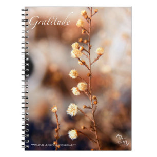 GRATITUDE - CADERNOS