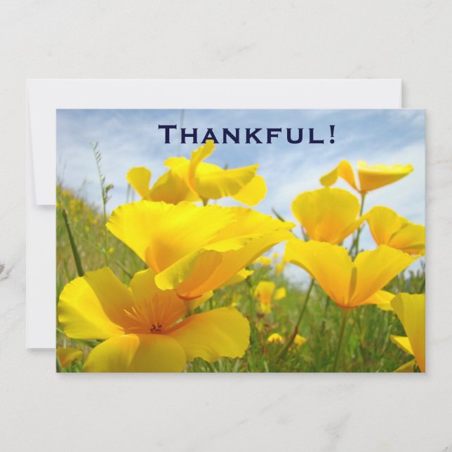 Grato! O costume dos convites oferece o almoço (Frente)