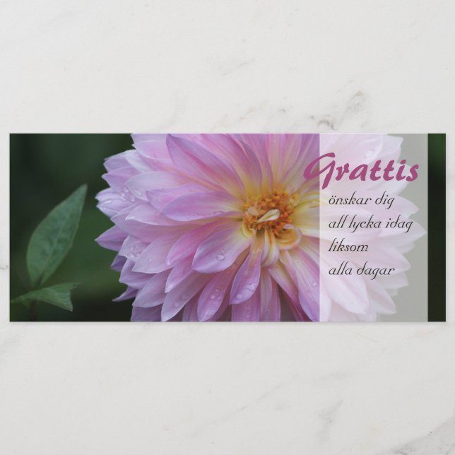 Grattis Önskar dig all lycka idag CC0767 (Frente)