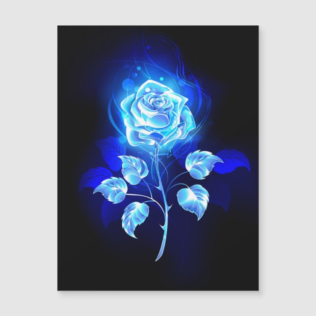 Gravação de Rosa Azul (Frente)