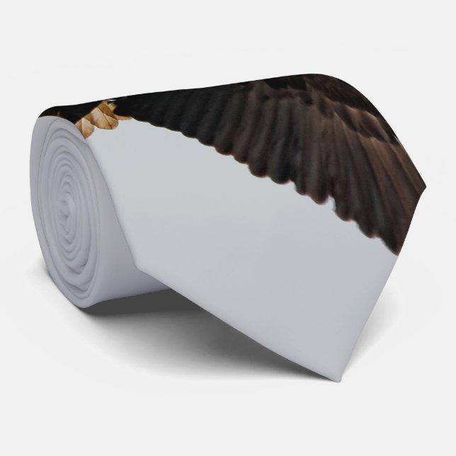 Gravata A Águia Balda Atordoadora leva para o céu (Rolled)