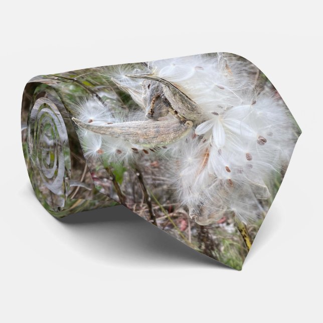 Gravata Abra Milkweed Pods | Sementes de Seda | (Rolled)