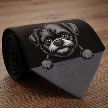 Affenpinscher Cômico Olhando Cachorrinho Amante de